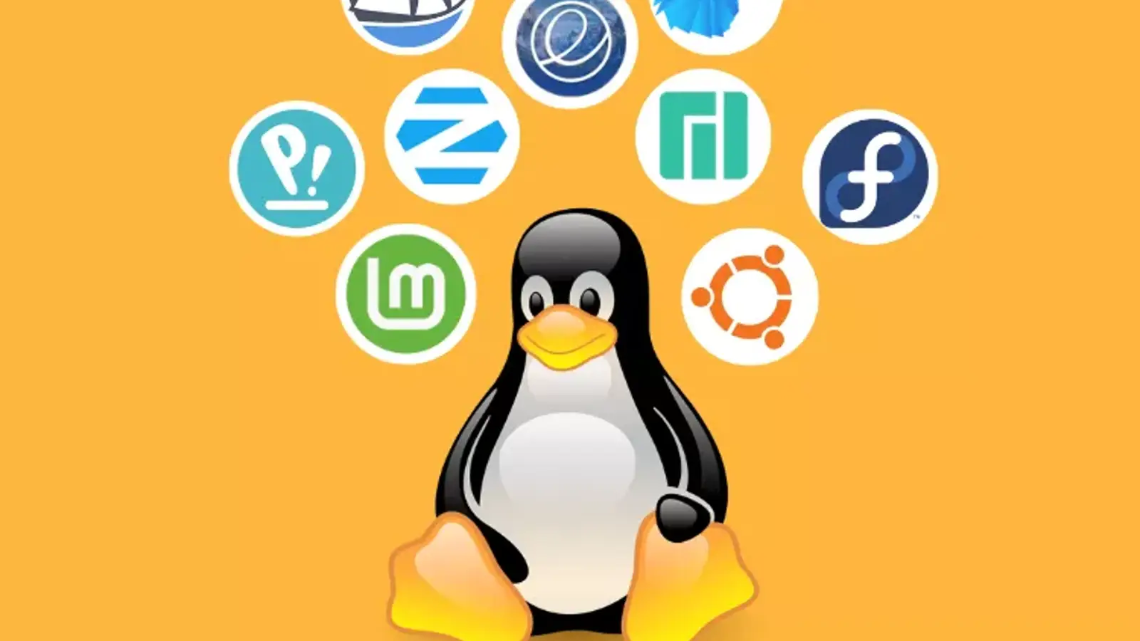 توزیع لینوکس چیست؟ بررسی مفهوم Distribution در سیستم عامل لینوکس