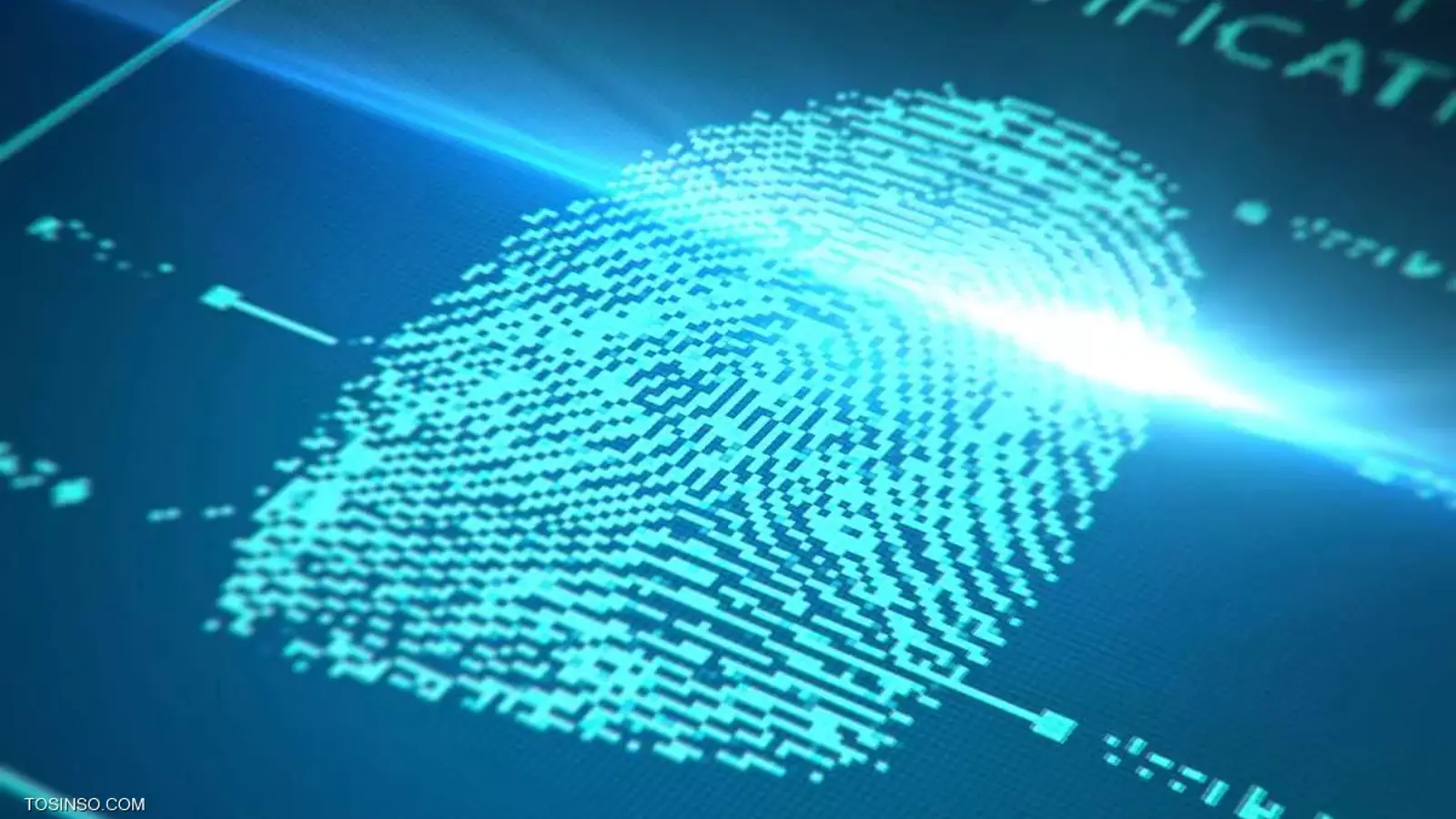 Banner Grabbing  چیست؟ معرفی تکنیک OS Fingerprinting