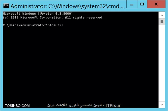 وب سایت توسینسو