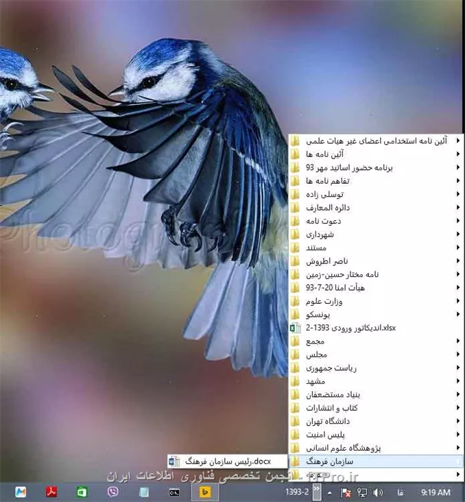 وب سایت توسینسو