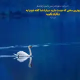 کاربر توسینسو