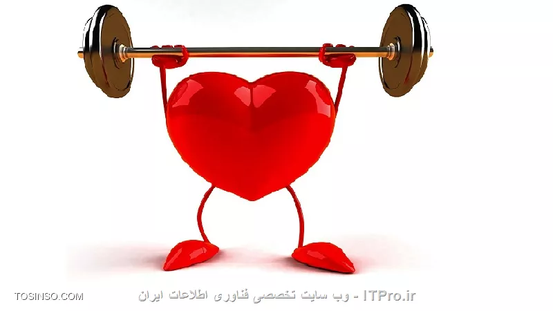 وب سایت توسینسو