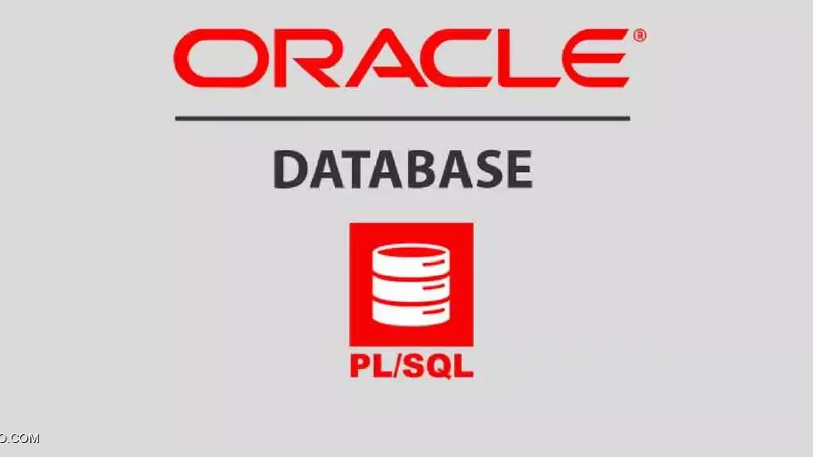 اوراکل SQL چیست؟ معرفی زبان PL/SQL به زبان ساده