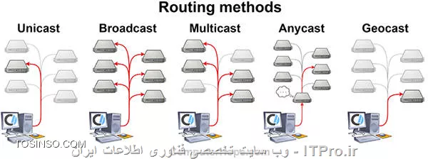 وب سایت توسینسو