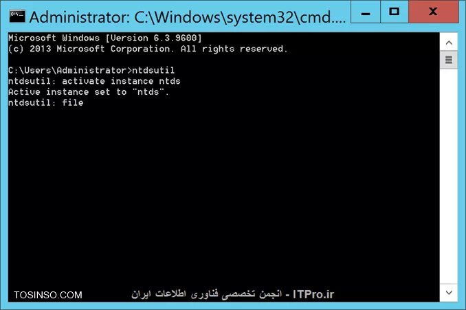 وب سایت توسینسو