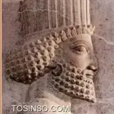کاربر توسینسو