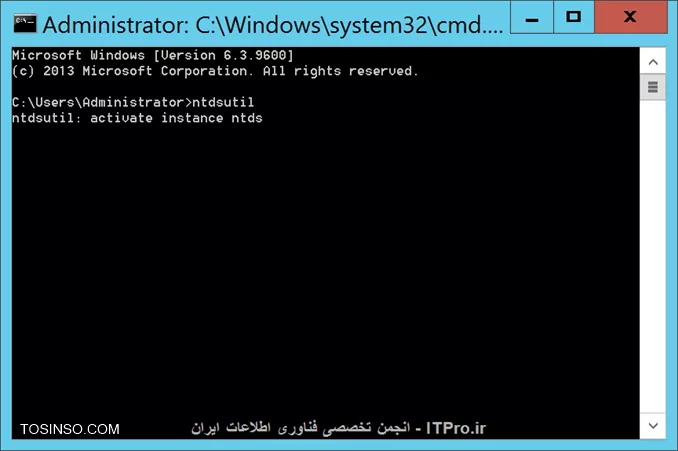 وب سایت توسینسو