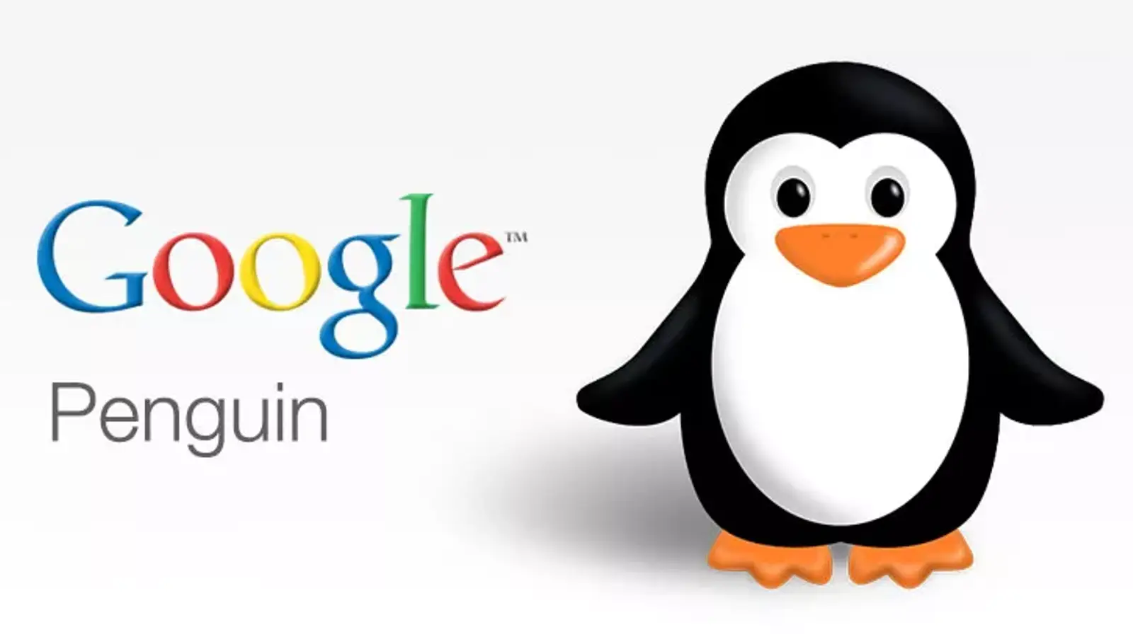 الگوریتم پنگوئن گوگل یا Google Penguin چیست؟