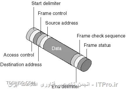 وب سایت توسینسو
