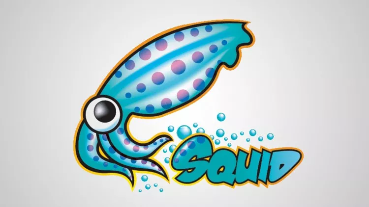 Squid چیست؟ کش سرور اسکوئید چیست