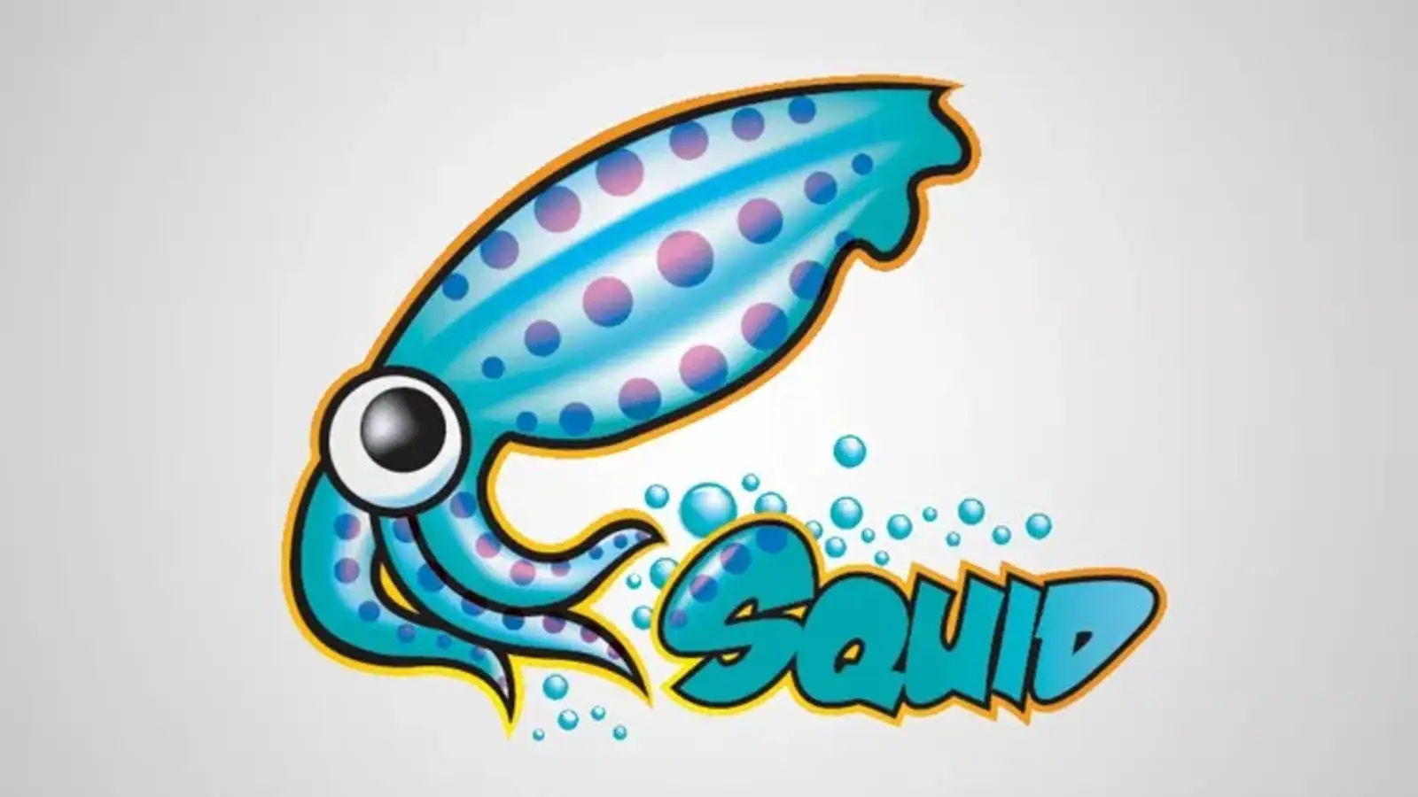 اسکوئید چیست؟ معرفی کش سرور Squid لینوکس و کاربردهایش