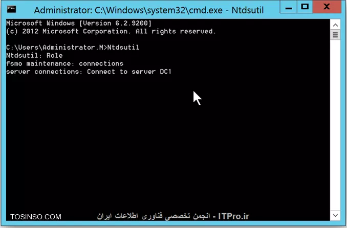 وب سایت توسینسو