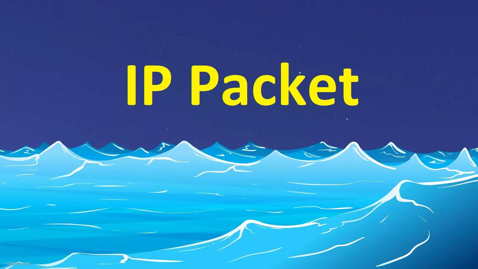 محتویات یک بسته اطلاعاتی در شبکه ( Packet ) مبتنی بر IP