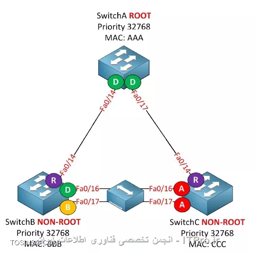 وب سایت توسینسو