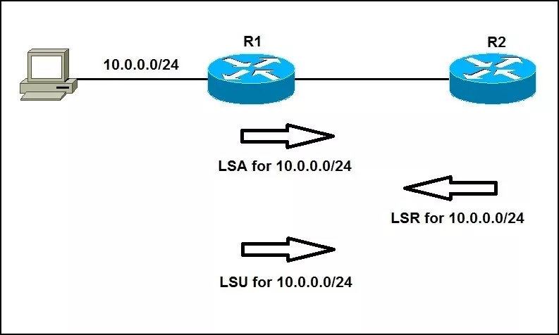 OSPF LSA