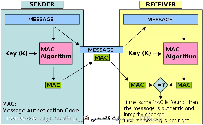وب سایت توسینسو