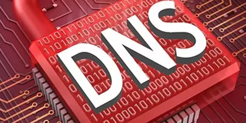 رفع مشکل Problem with DNS.exe high outgoing bandwidth usage 