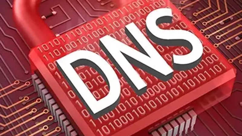 رفع مشکل Problem with DNS.exe high outgoing bandwidth usage 
