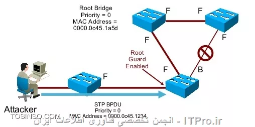 وب سایت توسینسو