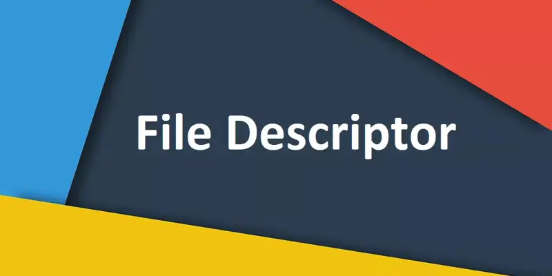 File Descriptor چیست؟ بررسی مفهوم FD در لینوکس