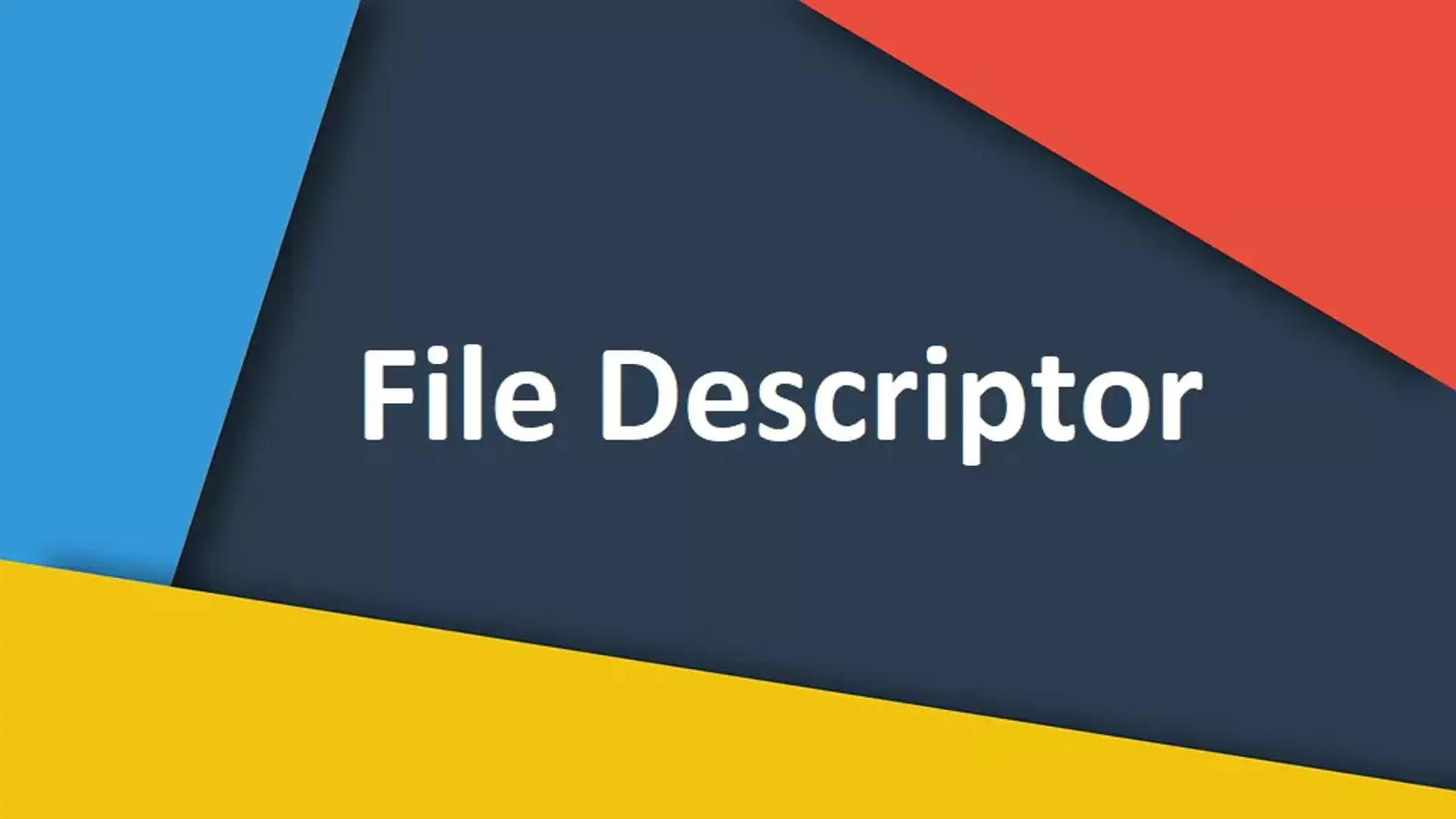 File Descriptor چیست؟ بررسی مفهوم FD در لینوکس