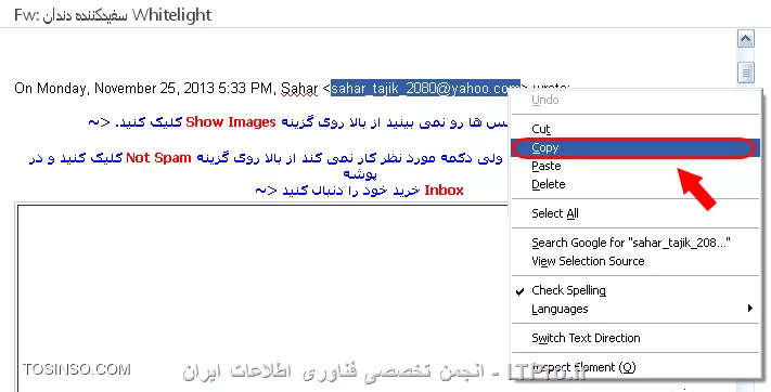 وب سایت توسینسو