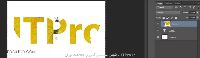 وب سایت توسینسو