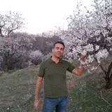 کاربر توسینسو