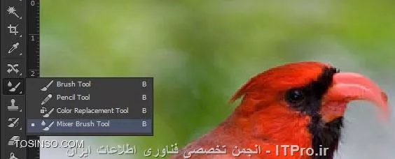 همانطور که قبلاً ذکر شد برای ایجاد تغییر در حالت تصاویر روشهای زیادی وجود دارد و در صورت آشنائی کامل با ابزارها و یا حتی فیلترها قادر به انجام آن می باشید برای نمونه در تصویری که در بالا قرار دادم از Clone Stamp Tool استفاده کردم به نحوی که ابتدا با تنظیم سایز آن و سپس با نگه داشتن کلید Alt و کلیک بر روی قسمتی از منقار که رنگ و حالت مناسبی دارد نمونه برداری کرده و پس از انجام این کار با کلیک نمودن در اطراف منقار حالت خمیدگی برای آن ایجاد میکنیم البته باید در این کار نیز مقداری دقت و تمیزکاری نیز به خرج دهید. 
ابزاری دیگر برای انجام این کار Mixer Brush Tool است و برای استفاده از آن کافیست بر روی مثلاً منقار پرنده کلیک و حالتی را که میخواهید به آن دهید با دراگ ایجاد نمائید. و نهایتاً اطراف آن را مجددا با Clone Stamp Tool  یکدست نمائید:

||http://graphic.tosinso.com/files/get/41007bc8-e5de-4c61-8070-85e8e93998cc||
در خصوص گزینه Convert to Smart Object طبق تصویر زیر عمل کنید:

||http://graphic.tosinso.com/files/get/ed0a5c20-fca7-4332-ad10-d871a64c0be2||
