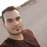 محسن  حسنی