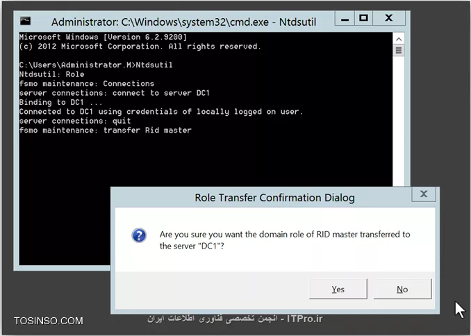 وب سایت توسینسو
