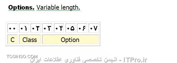 وب سایت توسینسو