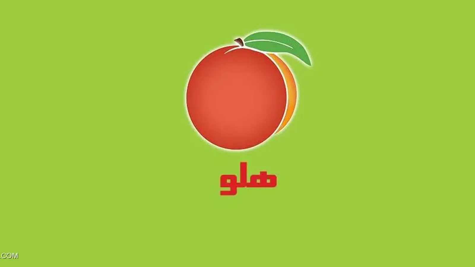 آموزش رایگان نرم افزار حسابداری هلو (آموزش هلو) صفر تا صد + PDF