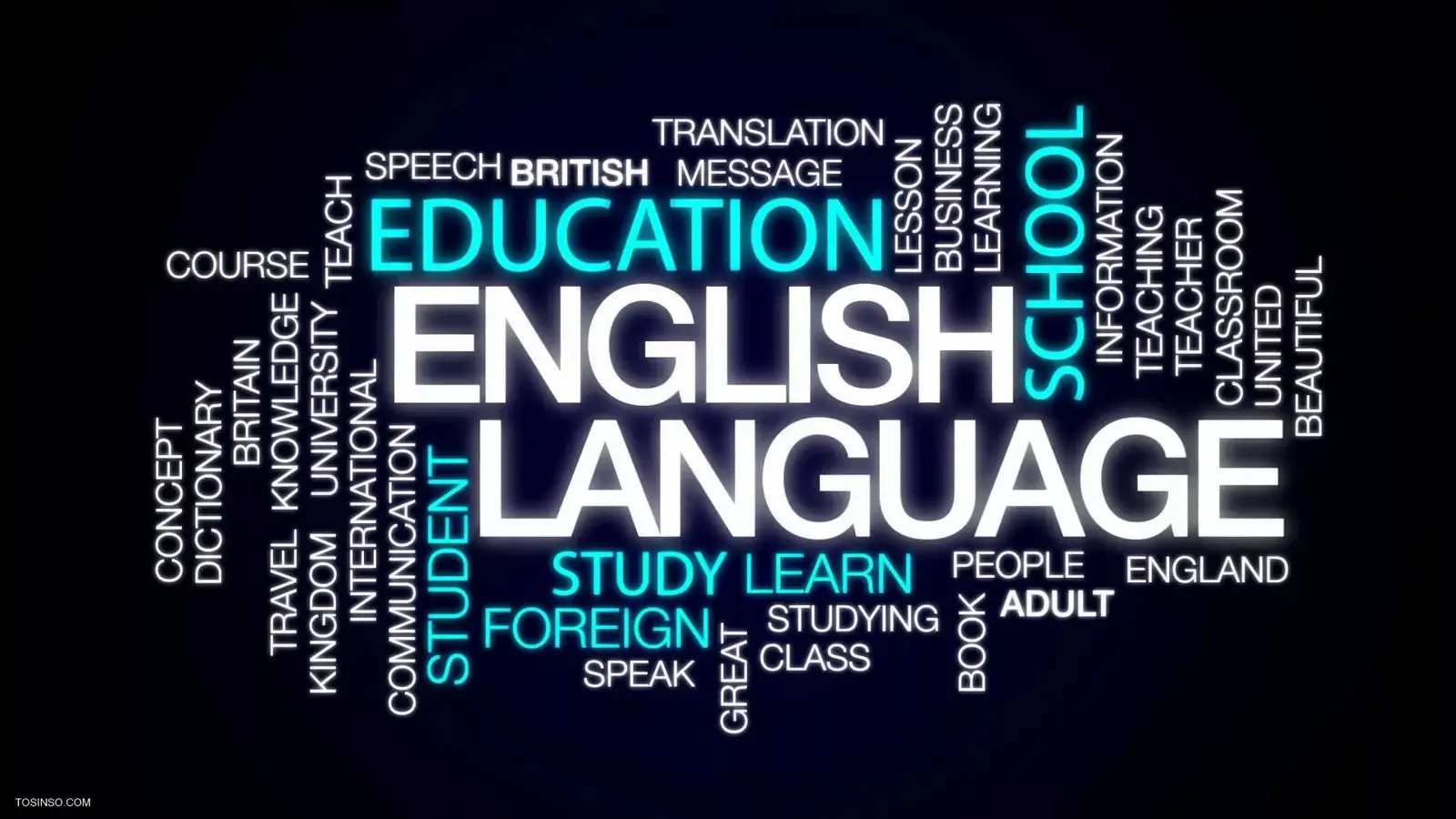 چگونه زبان تخصصی کامپیوتر و شبکه را یاد بگیریم ؟