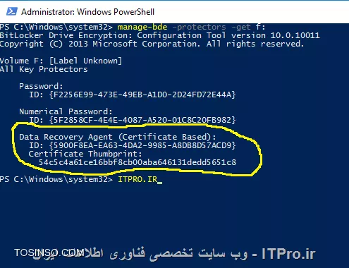 وب سایت توسینسو