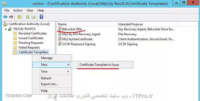 وب سایت توسینسو