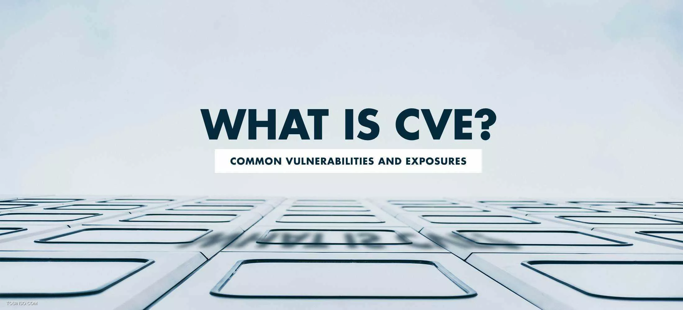 CVE چیست؟
