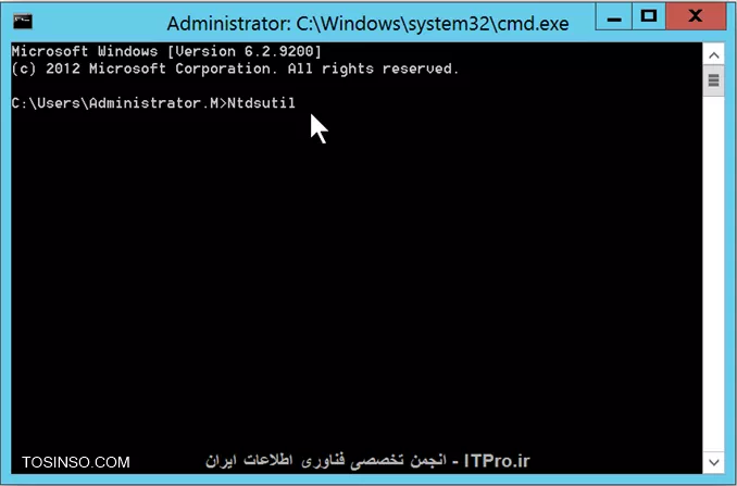 وب سایت توسینسو