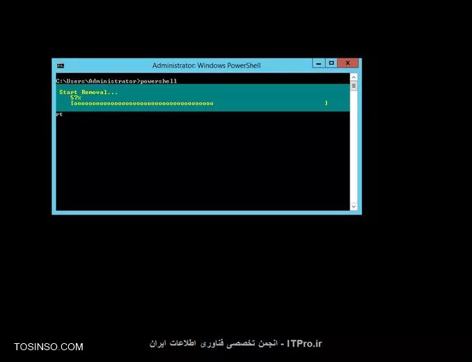 وب سایت توسینسو