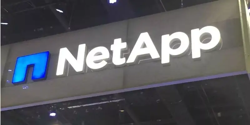NetApp RAID-DP  چیست؟