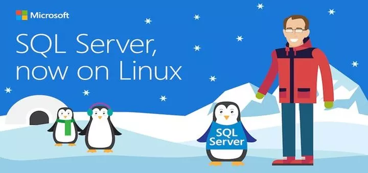 آموزش نصب SQL سرور در لینوکس ( تست و راه اندازی SQL در لینوکس )