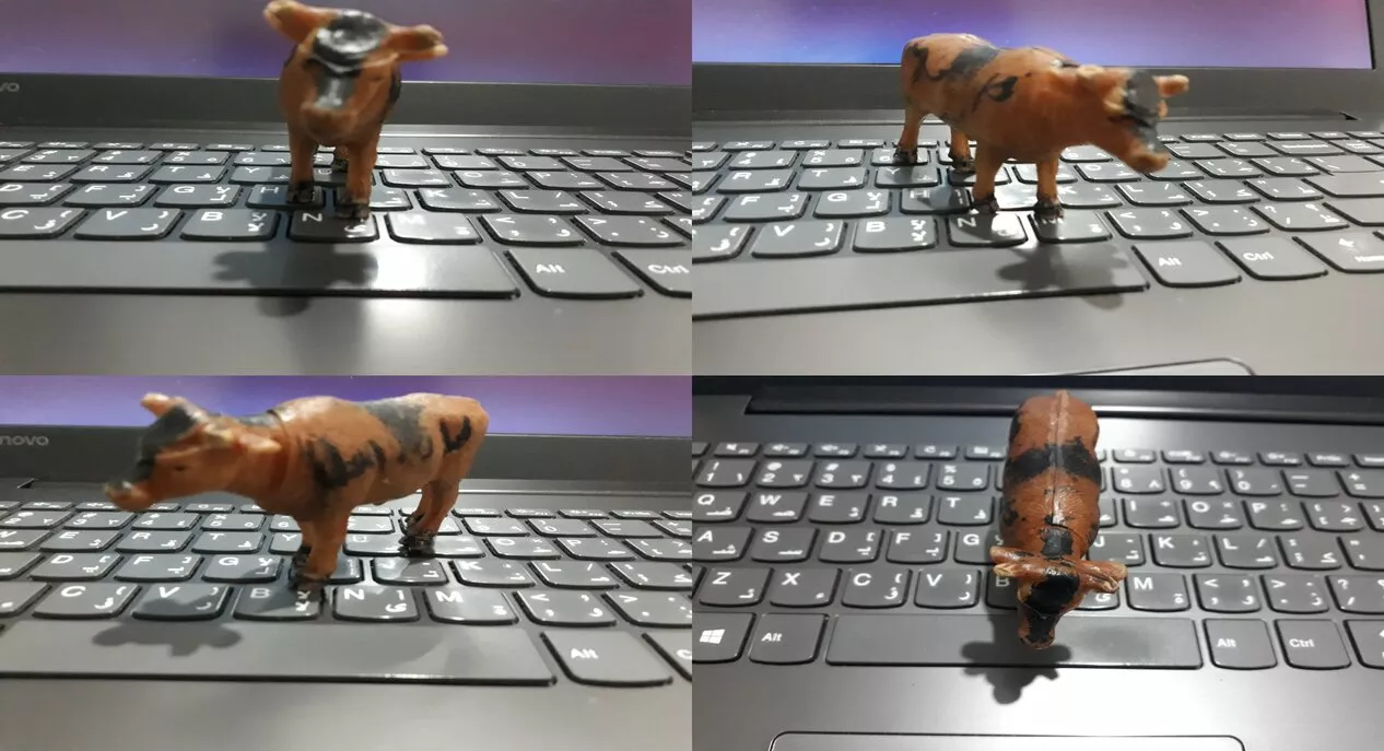 Rubber Duck Debugging | اشکال زدایی با اردک