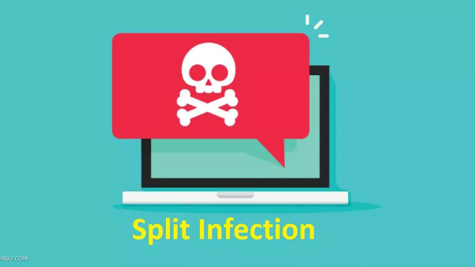 Split Infection چیست؟ معرفی روش آلودگی به ویروس تکه تکه شدن