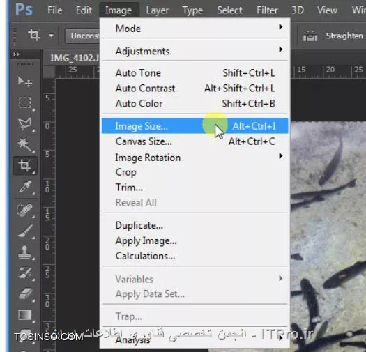 وب سایت توسینسو