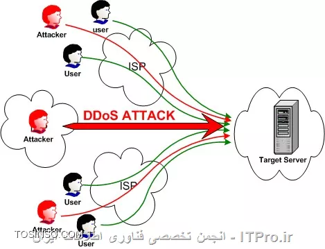 وب سایت توسینسو