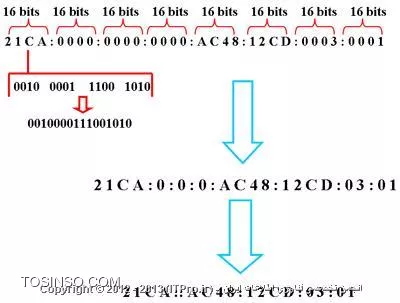 وب سایت توسینسو