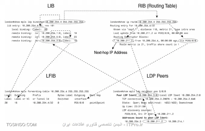 وب سایت توسینسو
