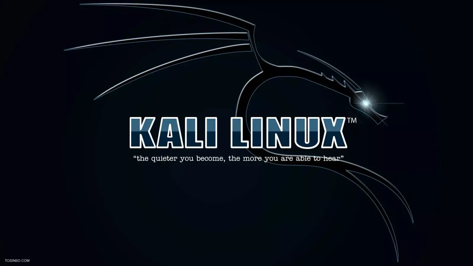 آموزش راه اندازی VPN رایگان در کالی لینوکس با OpenVPN و Wireguard