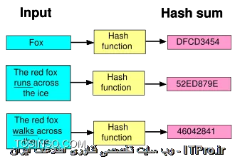وب سایت توسینسو