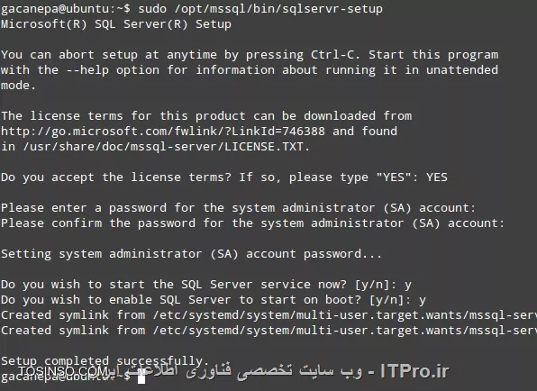 وب سایت توسینسو